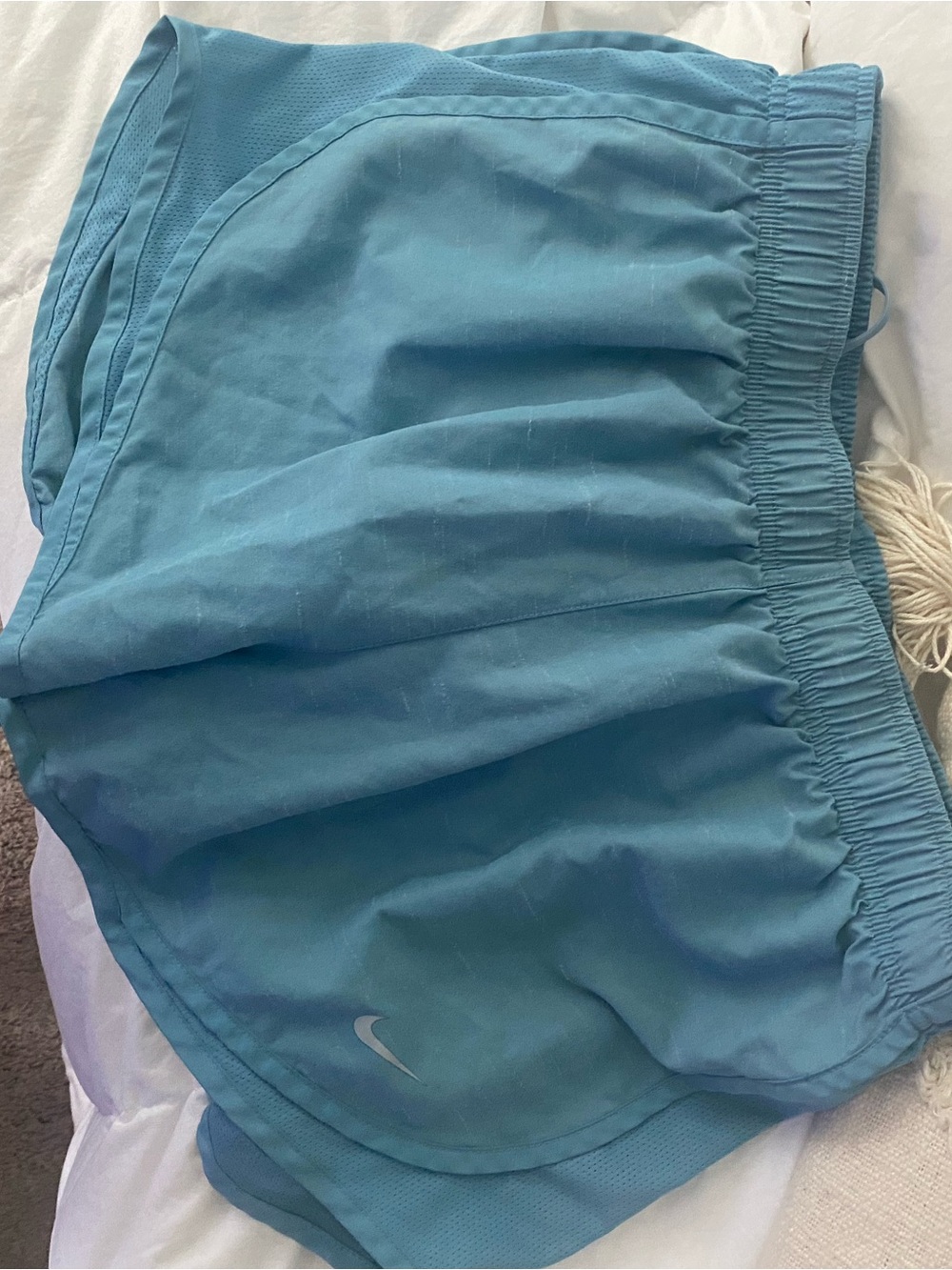 Nike Light Blue Athletic Shorts